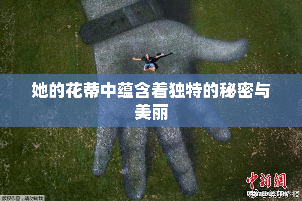 她的花蒂中蕴含着独特的秘密与美丽
