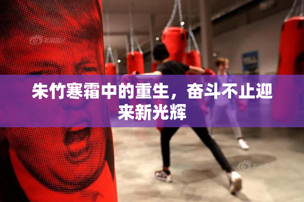 朱竹寒霜中的重生，奋斗不止迎来新光辉