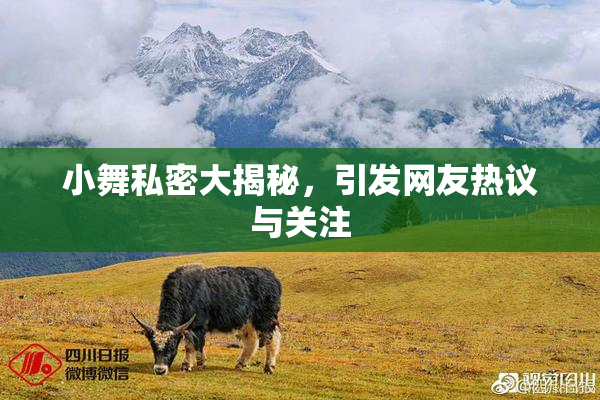 小舞私密大揭秘，引发网友热议与关注