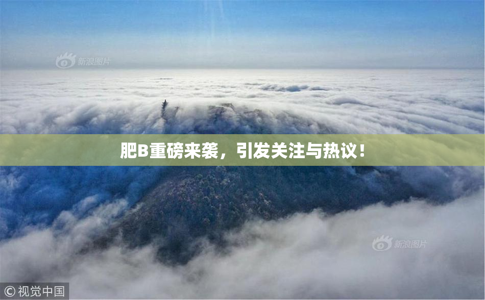 肥B重磅来袭，引发关注与热议！