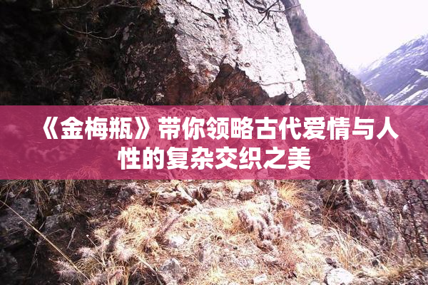 《金梅瓶》带你领略古代爱情与人性的复杂交织之美