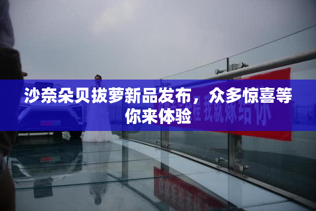 沙奈朵贝拔萝新品发布，众多惊喜等你来体验