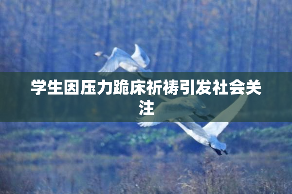 学生因压力跪床祈祷引发社会关注