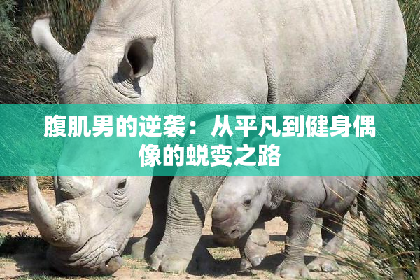 腹肌男的逆袭：从平凡到健身偶像的蜕变之路