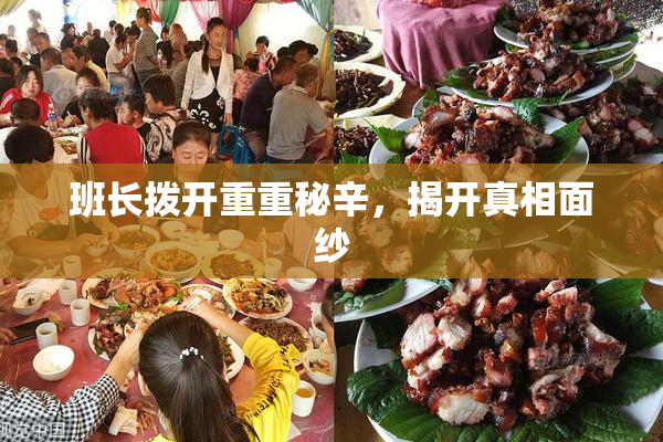 班长拨开重重秘辛，揭开真相面纱