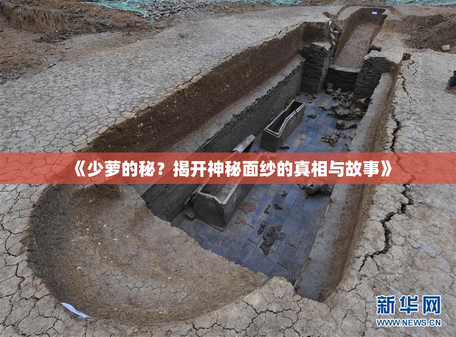 《少萝的秘？揭开神秘面纱的真相与故事》