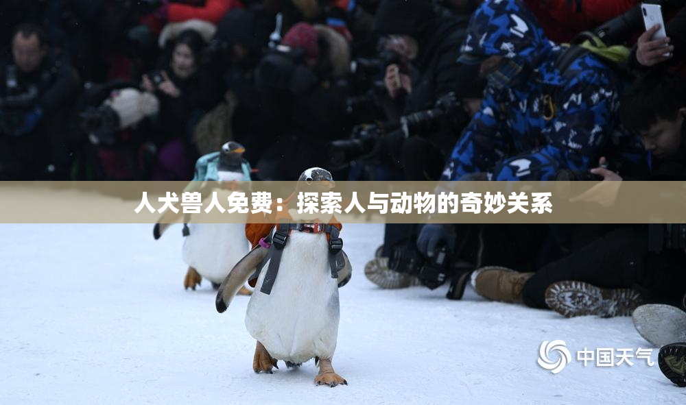 人犬兽人免费：探索人与动物的奇妙关系
