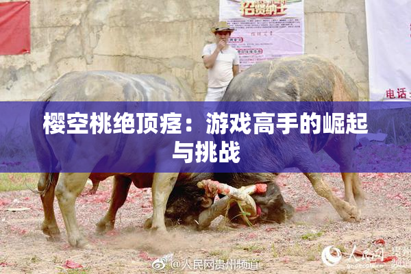 樱空桃绝顶痉：游戏高手的崛起与挑战