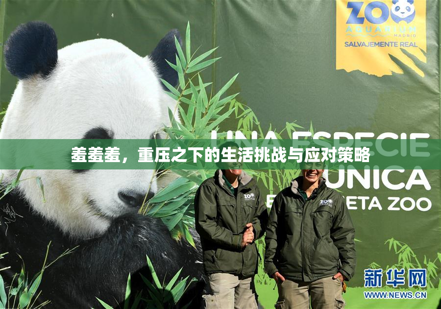 羞羞羞，重压之下的生活挑战与应对策略