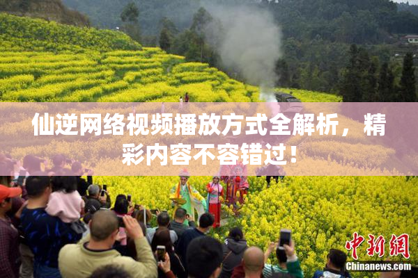 仙逆网络视频播放方式全解析，精彩内容不容错过！