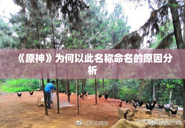 《原神》为何以此名称命名的原因分析