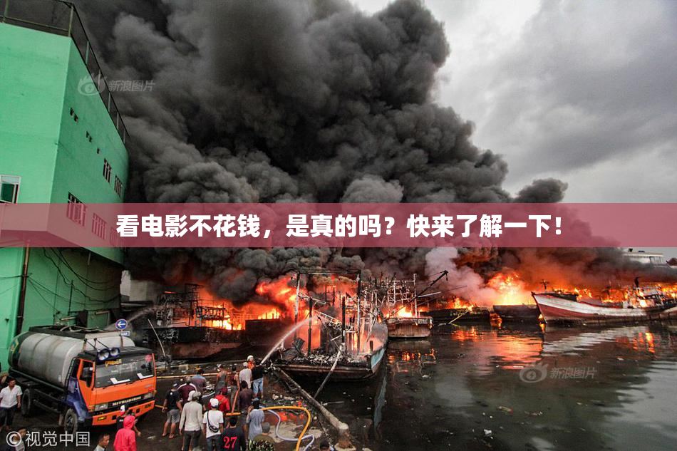 看电影不花钱，是真的吗？快来了解一下！