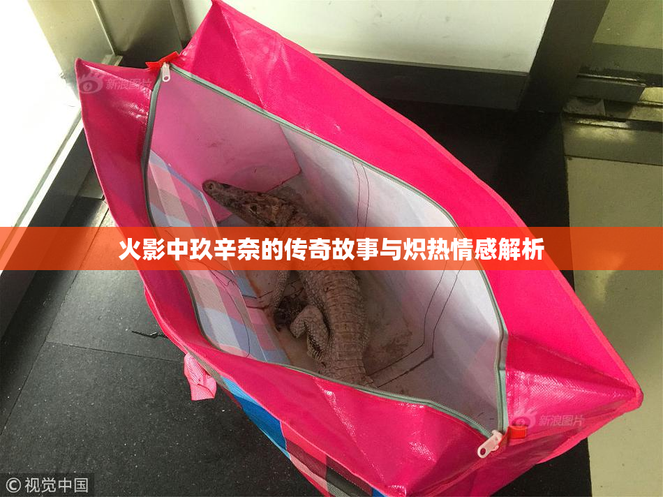 火影中玖辛奈的传奇故事与炽热情感解析