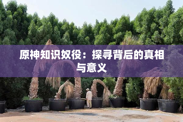 原神知识奴役：探寻背后的真相与意义