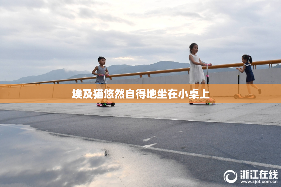 埃及猫悠然自得地坐在小桌上
