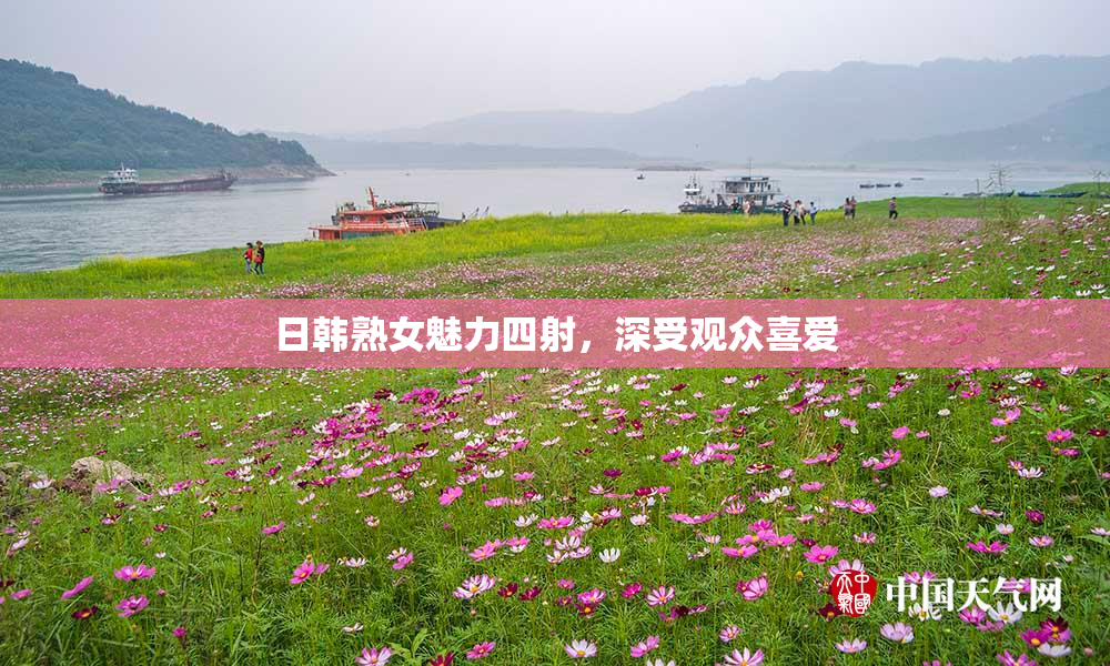 日韩熟女魅力四射，深受观众喜爱