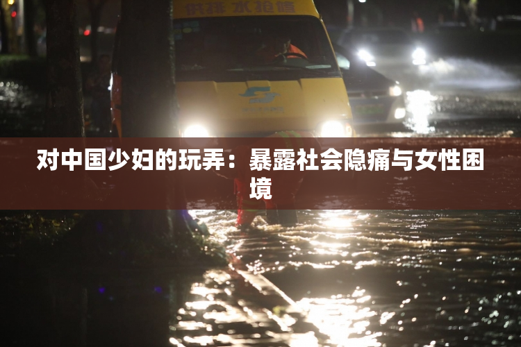 对中国少妇的玩弄：暴露社会隐痛与女性困境