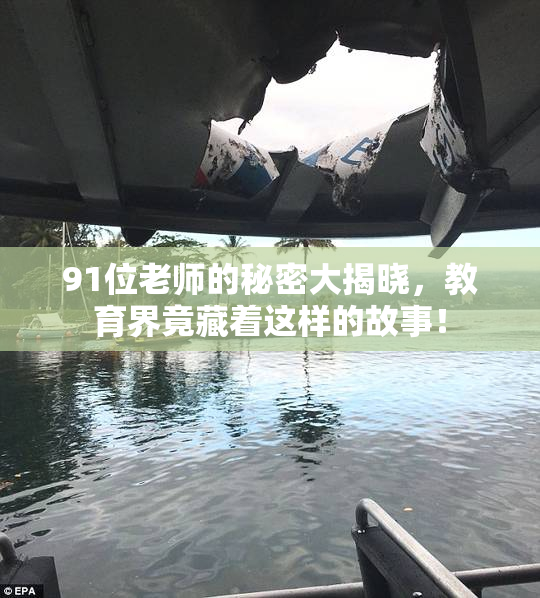 91位老师的秘密大揭晓，教育界竟藏着这样的故事！