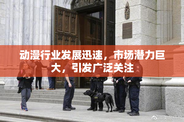 动漫行业发展迅速，市场潜力巨大，引发广泛关注