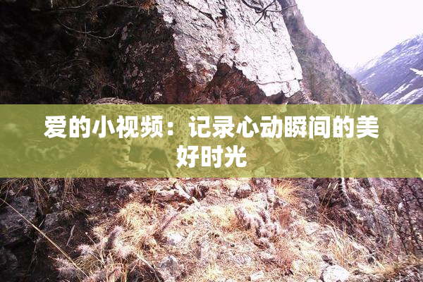 爱的小视频：记录心动瞬间的美好时光