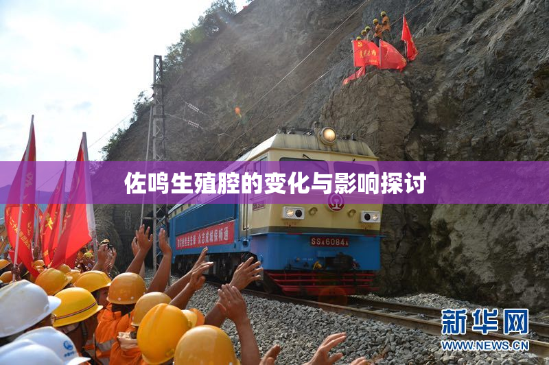 佐鸣生殖腔的变化与影响探讨