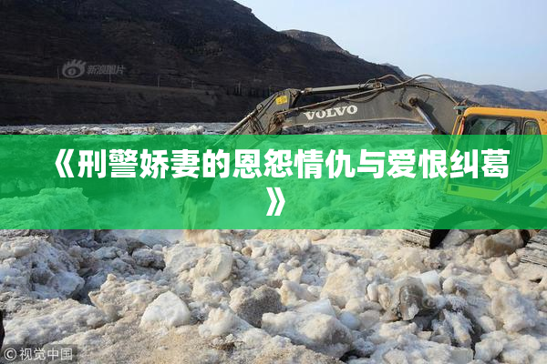 《刑警娇妻的恩怨情仇与爱恨纠葛》