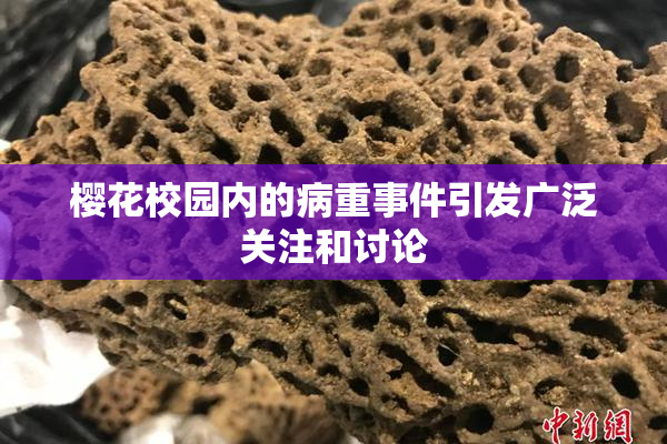 樱花校园内的病重事件引发广泛关注和讨论