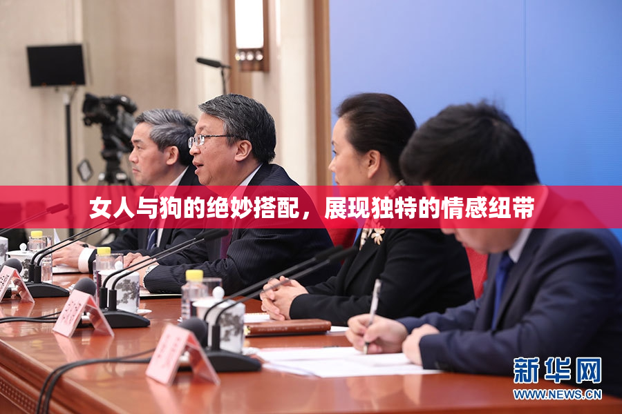 女人与狗的绝妙搭配，展现独特的情感纽带