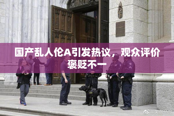 国产乱人伦A引发热议，观众评价褒贬不一