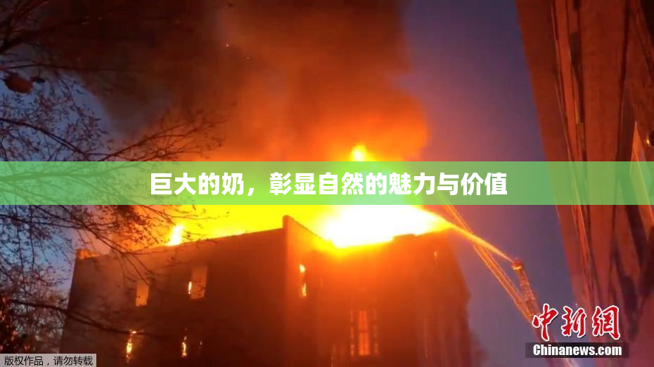 巨大的奶，彰显自然的魅力与价值