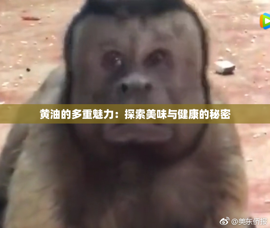 黄油的多重魅力：探索美味与健康的秘密