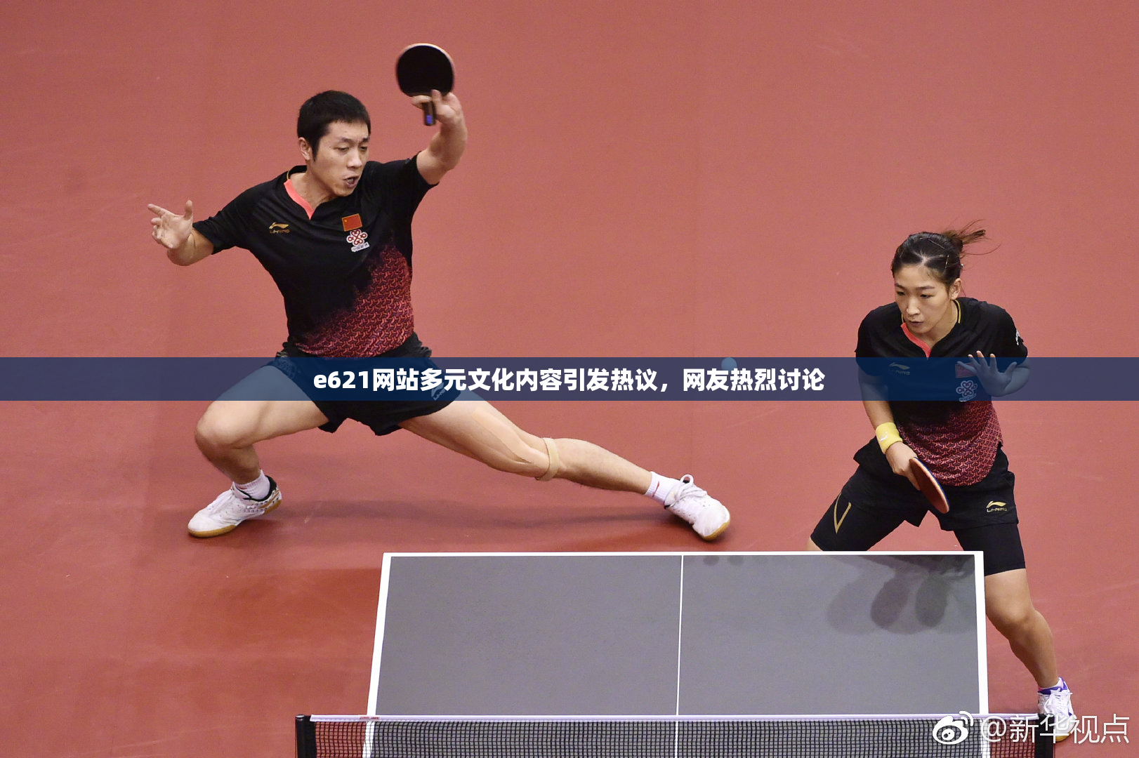 e621网站多元文化内容引发热议，网友热烈讨论