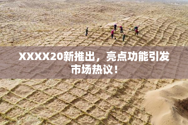 XXXX20新推出，亮点功能引发市场热议！