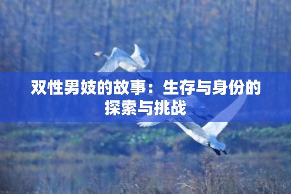 双性男妓的故事：生存与身份的探索与挑战