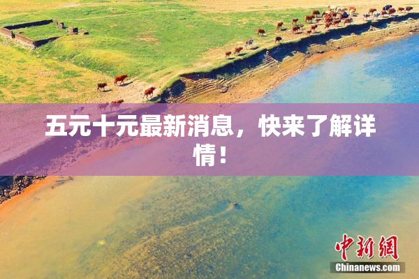 五元十元最新消息，快来了解详情！