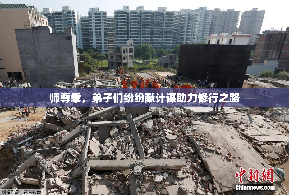 师尊乖，弟子们纷纷献计谋助力修行之路