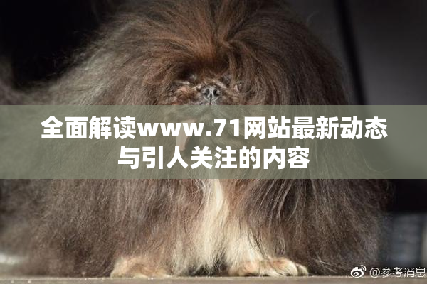 全面解读www.71网站最新动态与引人关注的内容