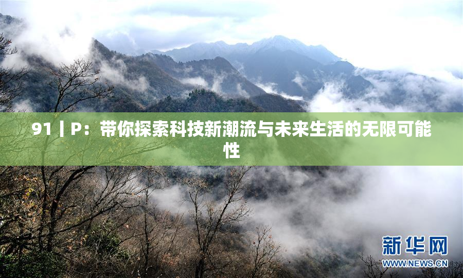91丨P：带你探索科技新潮流与未来生活的无限可能性
