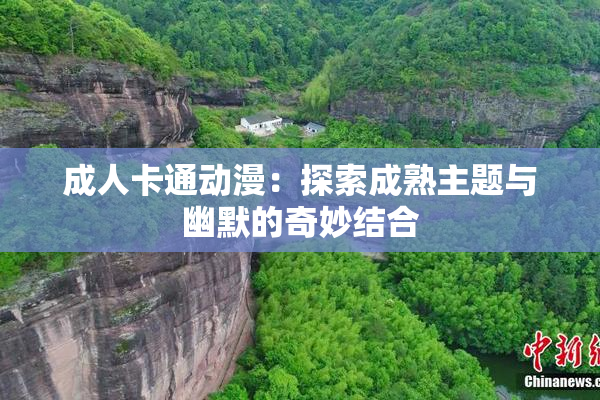 成人卡通动漫：探索成熟主题与幽默的奇妙结合