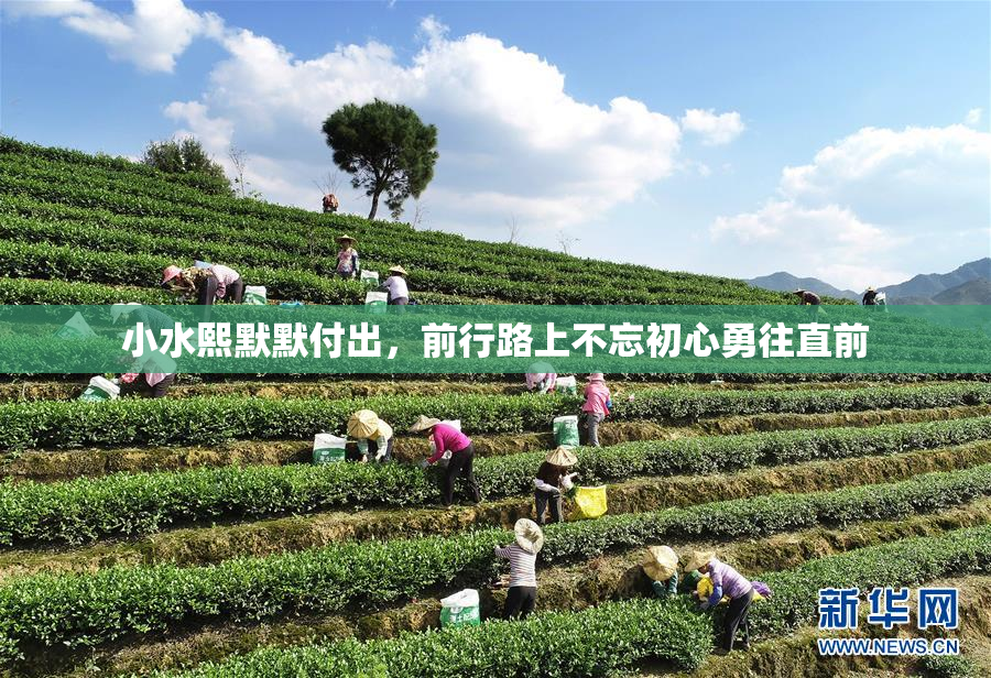 小水熙默默付出，前行路上不忘初心勇往直前