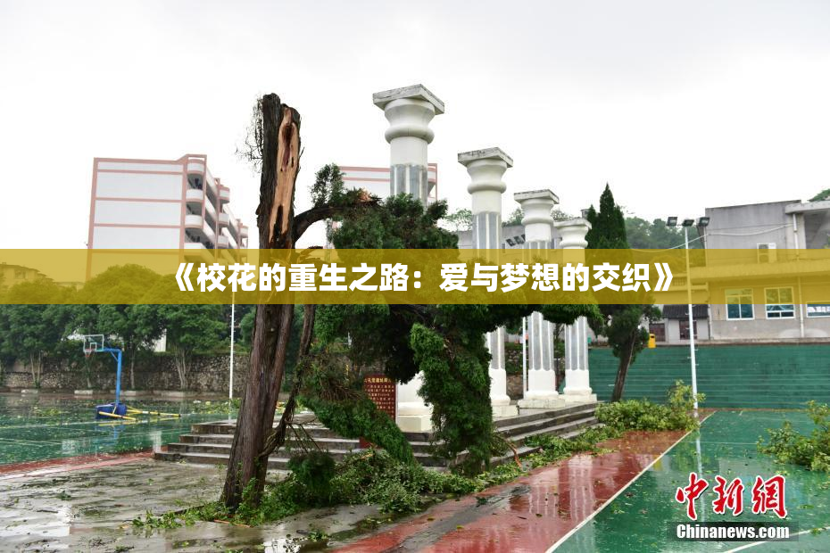《校花的重生之路：爱与梦想的交织》