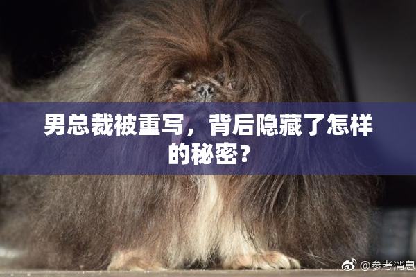 男总裁被重写，背后隐藏了怎样的秘密？