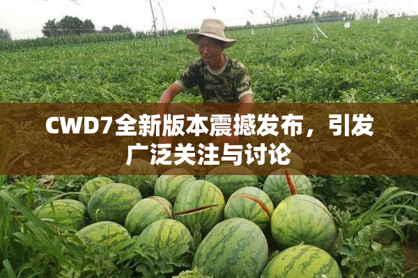 CWD7全新版本震撼发布，引发广泛关注与讨论