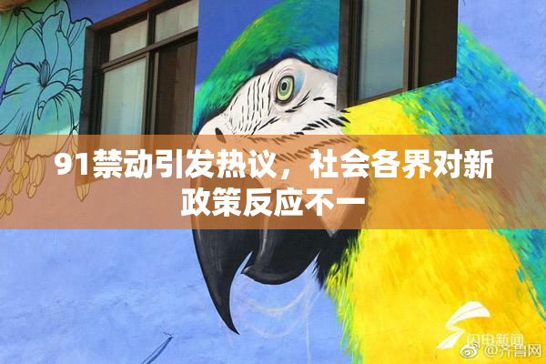 91禁动引发热议，社会各界对新政策反应不一