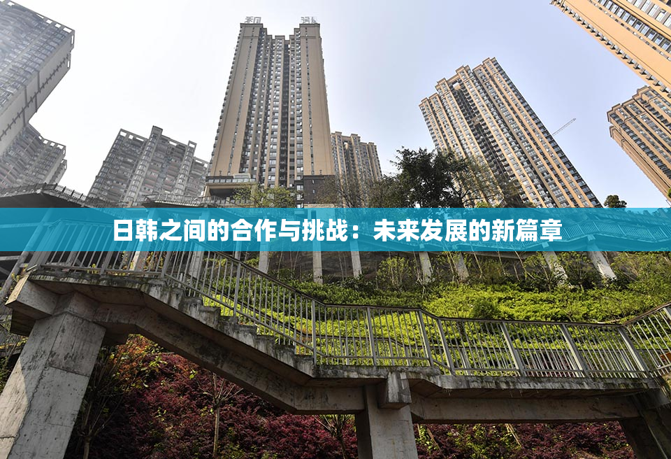 日韩之间的合作与挑战：未来发展的新篇章