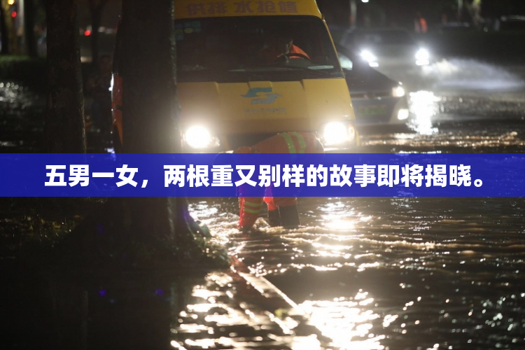 五男一女，两根重又别样的故事即将揭晓。