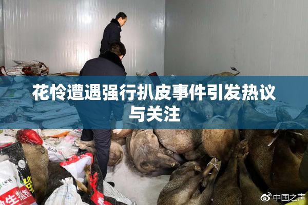 花怜遭遇强行扒皮事件引发热议与关注