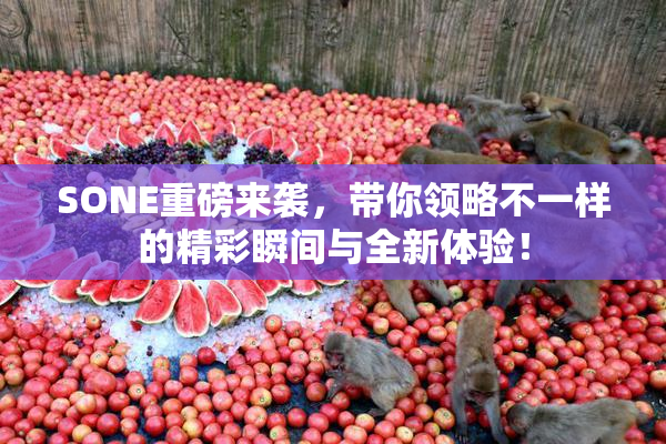SONE重磅来袭，带你领略不一样的精彩瞬间与全新体验！