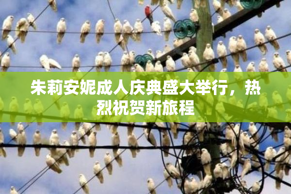 朱莉安妮成人庆典盛大举行，热烈祝贺新旅程