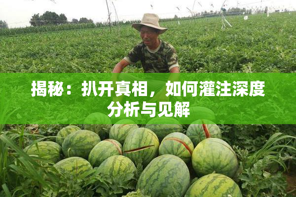 揭秘：扒开真相，如何灌注深度分析与见解